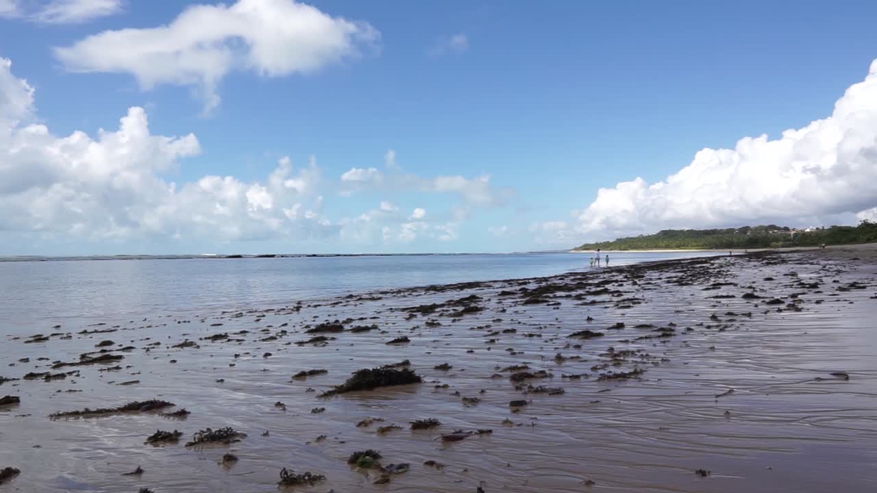 Tropical beach sunny day in Arraial D'Ajuda Bahia Brazil: Low Tide