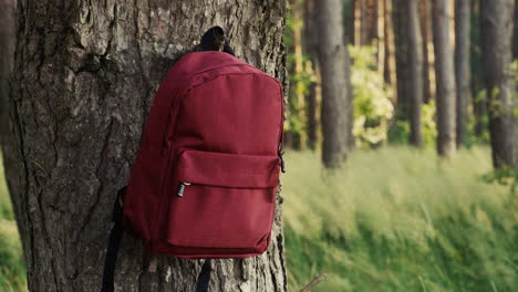 red backpack on a tree