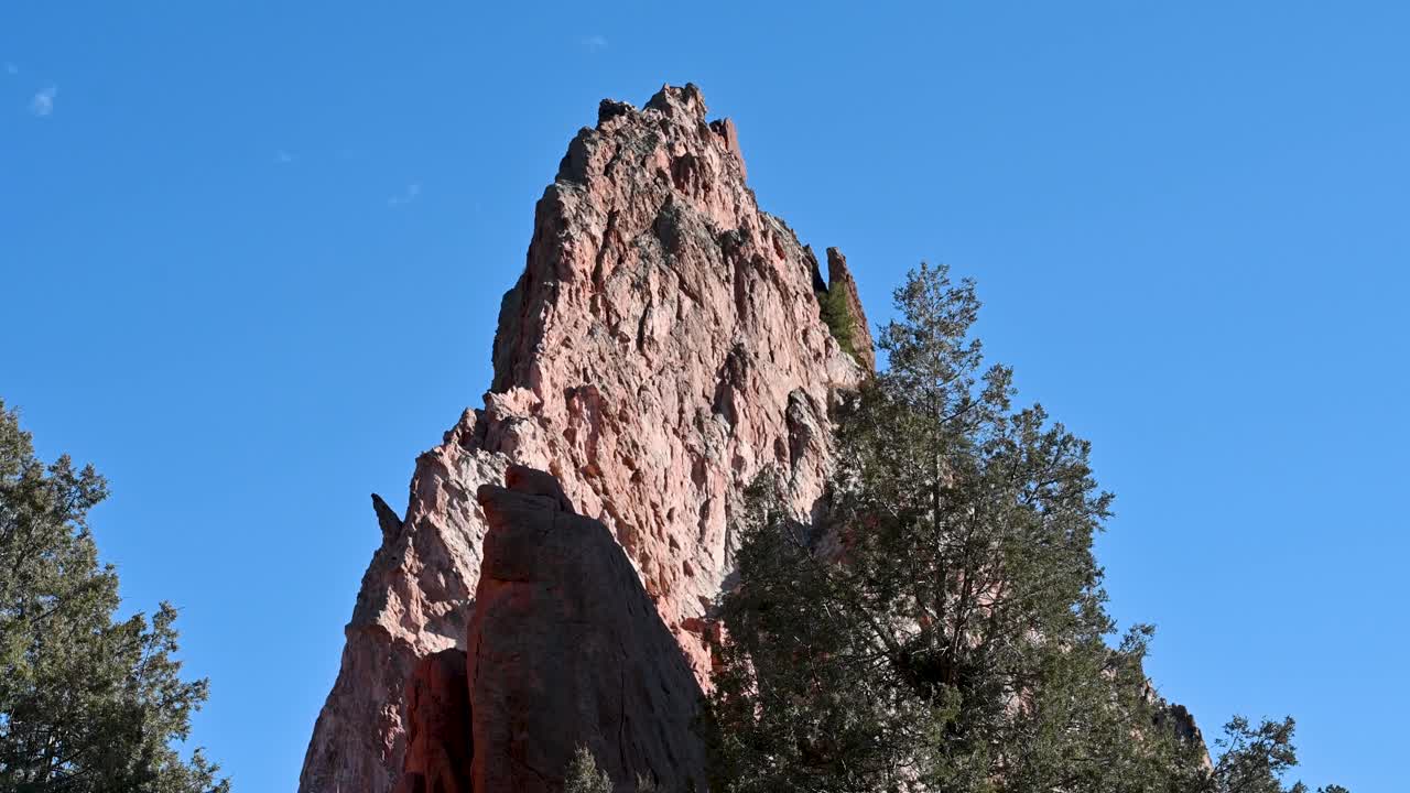 Upward drone shot of sharp red sandstone peak framed by pine trees and clear blue sky at Garden of the Gods in Colorado Springs
