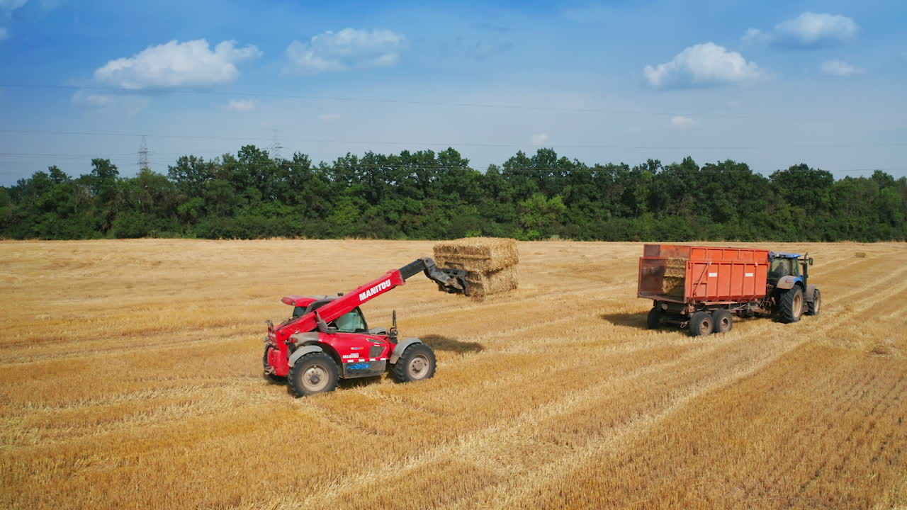 Small but powerful excavator lifts the hay bales to load them into tractor. Excavator bucket pushes the straw along the tractor car body. Top view.