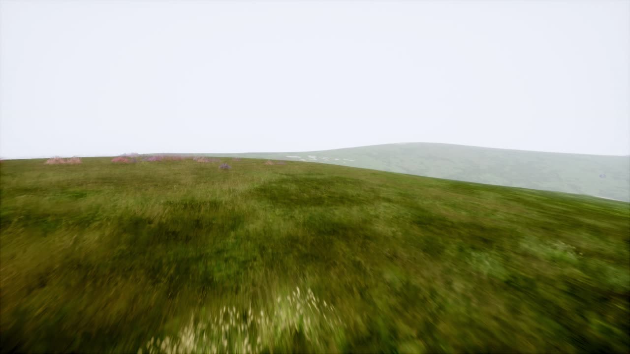 воздушный зеленый пейзаж холмов в тумане