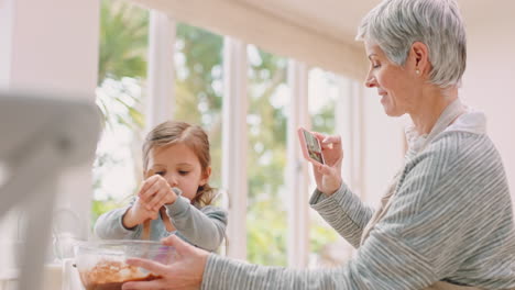 grandmother, girl cooking and recording video
