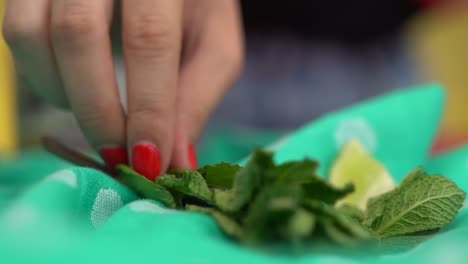 una mano femenina recoge hojas de menta fresca del mostrador de la cocina