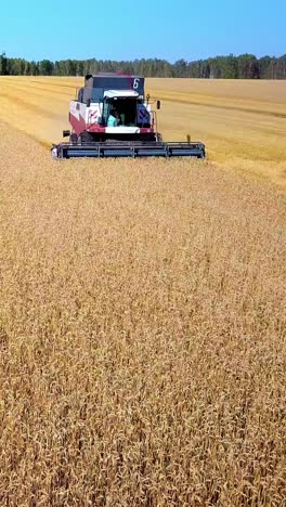 agricultural machinery harvesting golden wheat in expansive field under clear blue sky