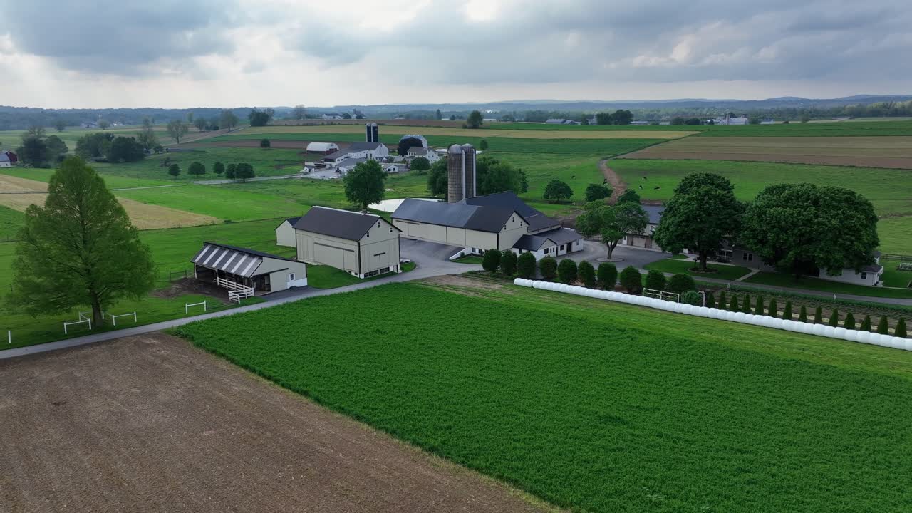 Tree-lined driveway of luxury farmstead house with barn and silo storage. Cloudy day in spring season. American countryside with hilly farm fields in USA. Ascend drone wide shot.