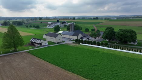 tree-lined driveway of luxury farmstead house with barn and silo storage. cloudy day in spring season. american countryside with hilly farm fields in usa. ascend drone wide shot.