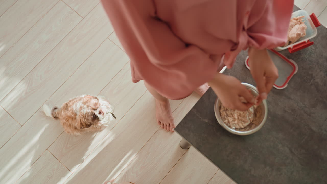 Dog Waits Eagerly, Dog Observes Owner Filling Bowl Joyfully, Waits Patiently Beside Owner At Countertop In Warm Sunlight, Loyal Dog Patiently Awaiting Owner To Fill Bowl Amidst Sunlit Kitchen Floor