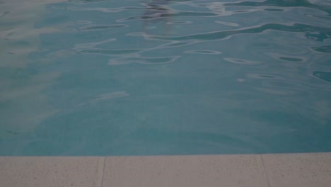 A-cute-young-lady-swims-toward-camera-and-sticks-her-head-out-of-the-water