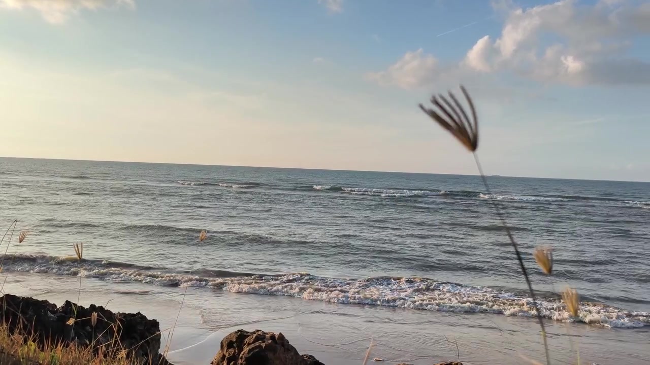 Gentle Waves Rolling onto a Tropical Beach at Sunset