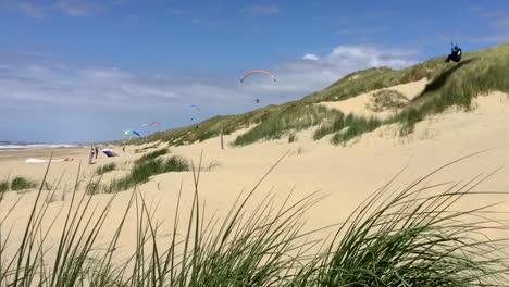 dune-soaring with paragliders on the grassy dunes on the north-sea beach