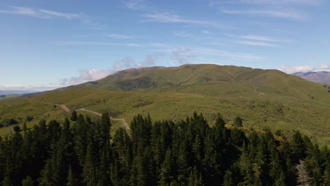 bare-mountain-with-green-plains-behind-a-dark-coniferous-forest-on-a-sunny-morning