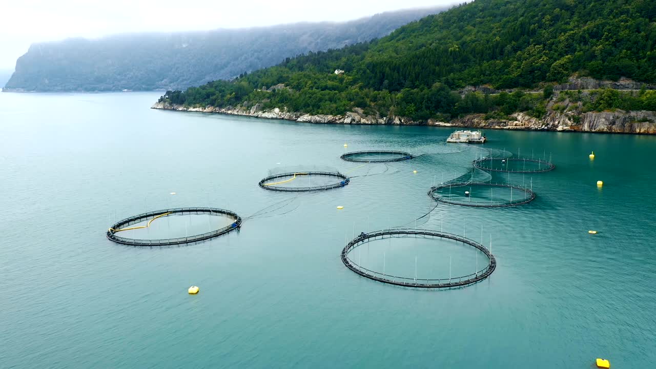 노르웨이에서 연어  ⁇ 시를 하는 공중 촬영