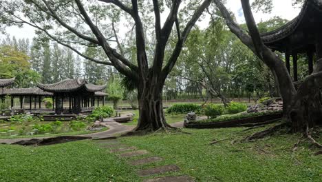 un paseo pacífico por un jardín tradicional asiático.