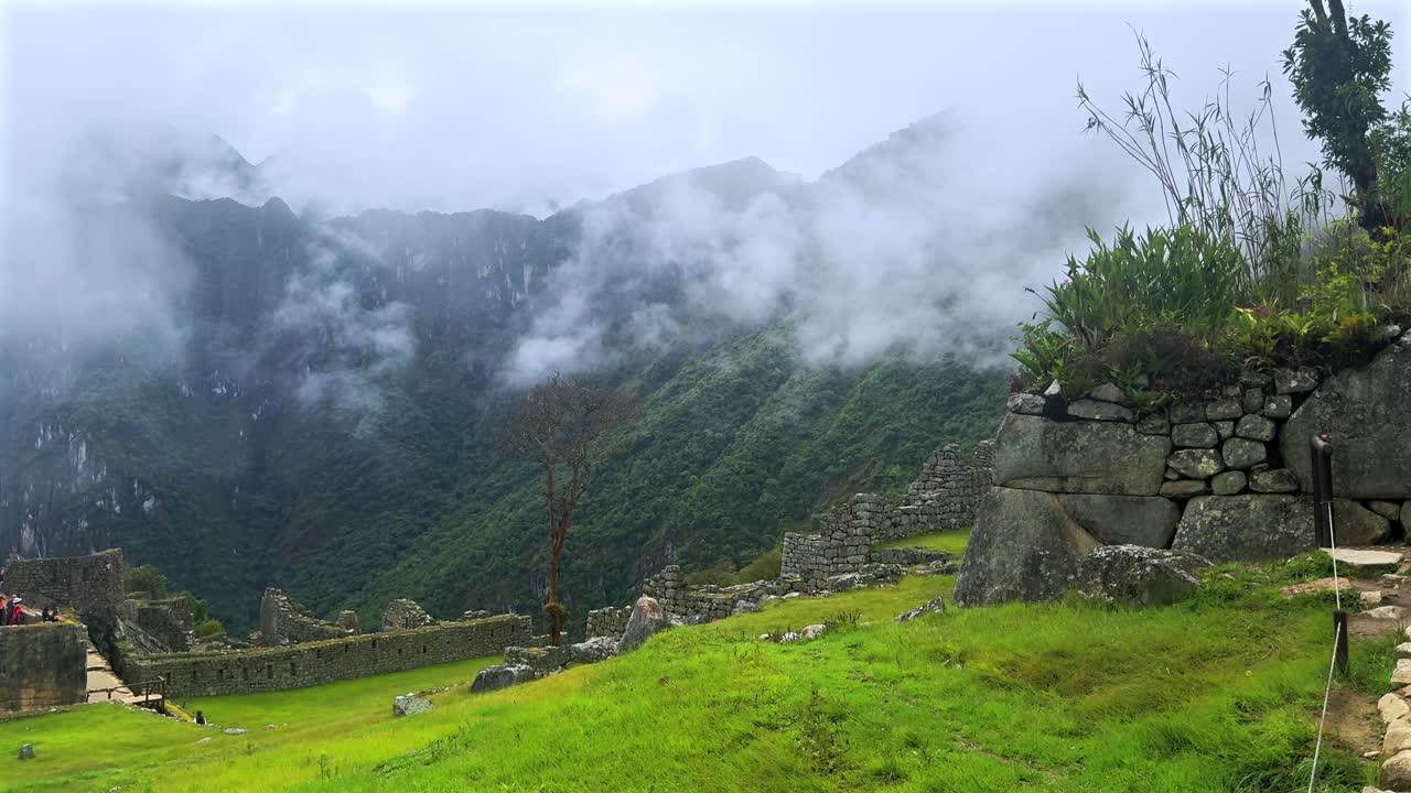 Albero di Shihuahuaco Machu Picchu cielo azzurro soleggiato nuvole mattina Perù Perú drone aereo monte Huayna Picchu stagione delle piogge verdeggiante Ande peruviane Tempio Inca Santuario giungla lavoro in pietra terrazza statico