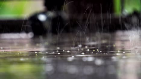 Raindrops falling on the water surface,puddle close up,low angle view,shallow depth of field.Natural disasters,flood,devastation,bad weather,meteorology,rain falling,droplet, audio included