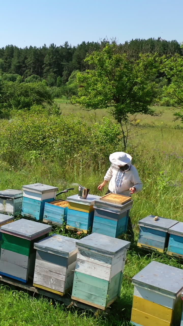 Bee-garden in summer. Beekeeper works on the apiary near the wooden beehives on beautiful green nature background. Camera rising up. Vertical video