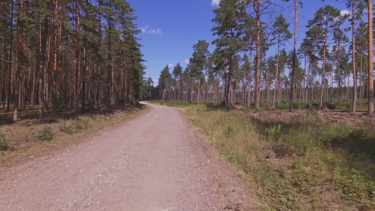 The Winding Gravel Road Leads Through The Pine Forest. Aerial Low Flying Forward