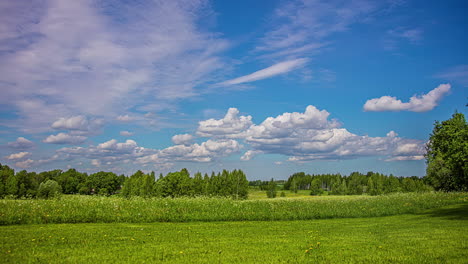 toma de tiempo de nubes hinchadas blancas que se mueven rápidamente sobre el cielo azul sobre el paisaje rural con praderas verdes y árboles durante todo el día