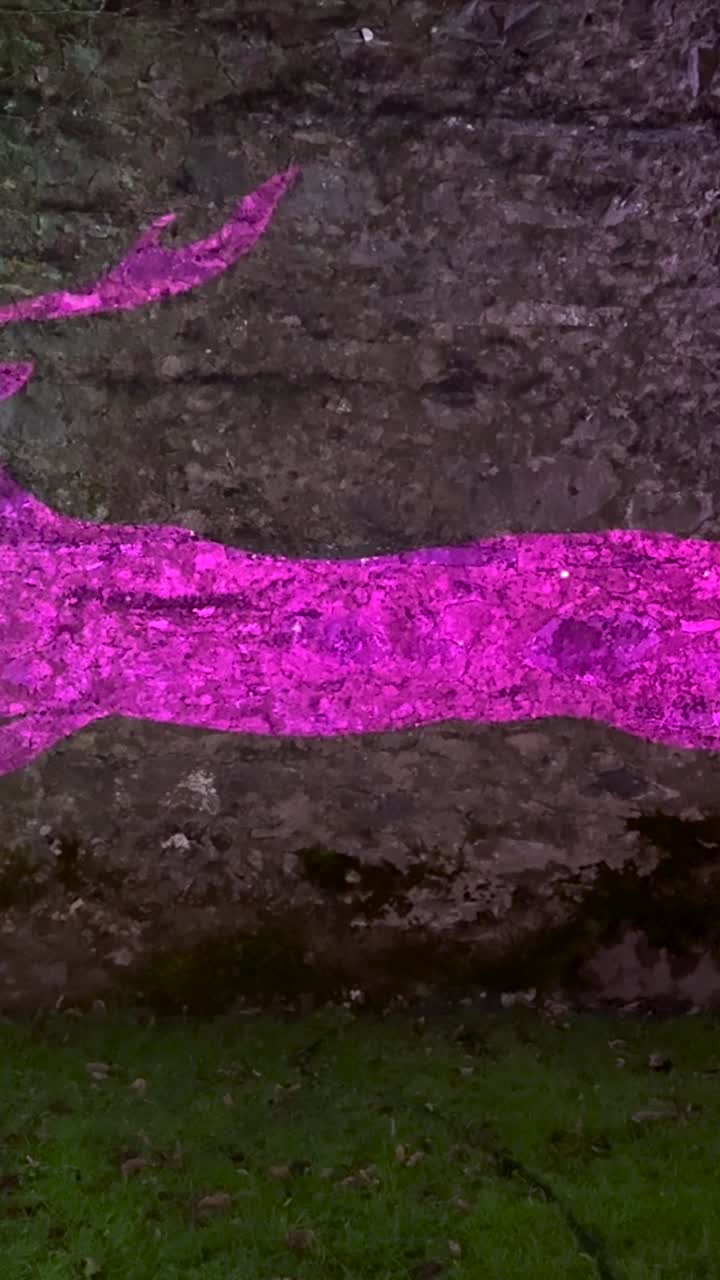 Verticale kleurrijke projectie verlicht een stenen muur terwijl een silhouet van een hert over het verschuivende licht rent. De afbeelding vervaagt door veranderende kleuren voordat deze verdwijnt, en laat fonkelende sterren achter