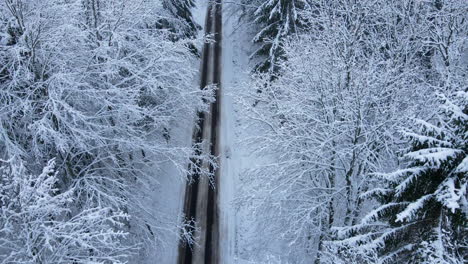 Drohne-Fliegt-In-Der-Nähe-Von-Schneebedeckten-Mischwaldästen-Entlang-Der-Einzeiligen-Leeren-Landstraße,-Deby-Polen