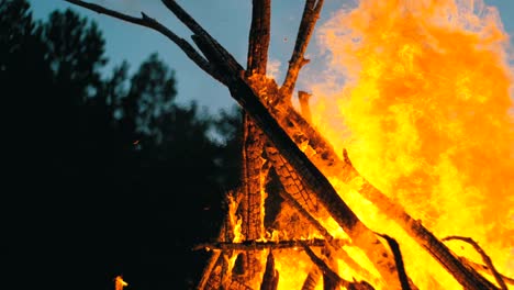 una gran fogata de ramas que arde por la noche en el bosque
