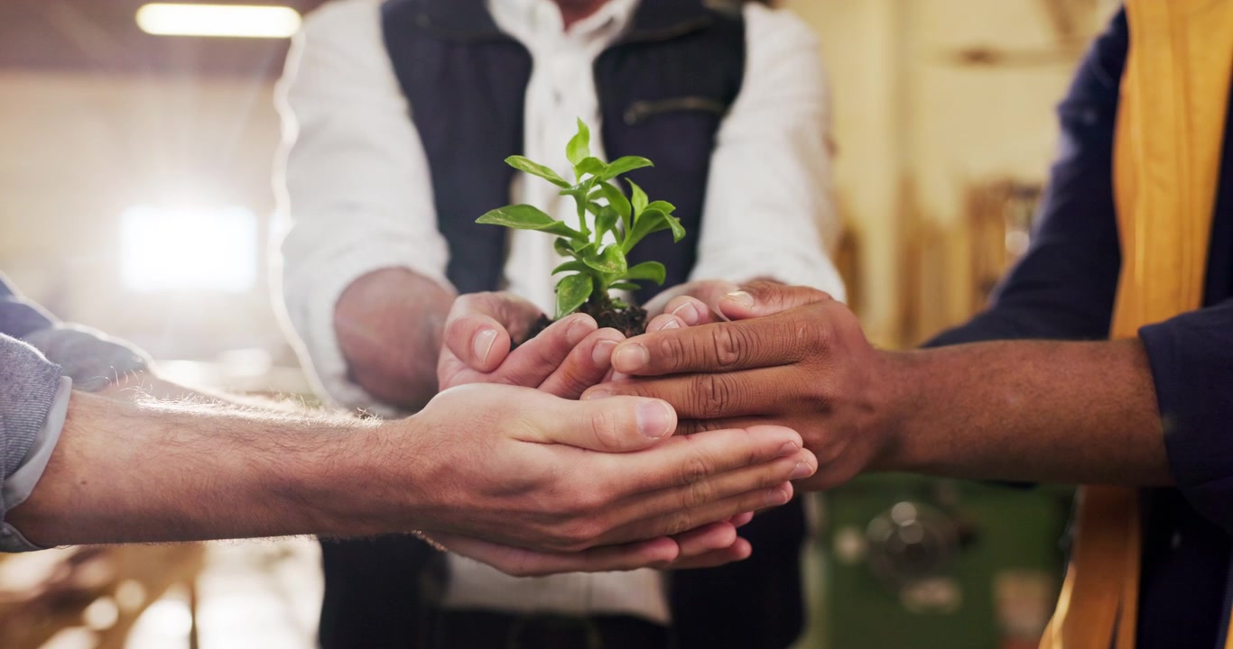 Diverse Group of People Holding a Small Plant Together