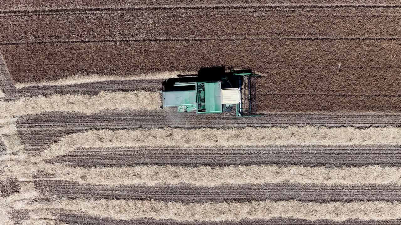 top down view on a tractor, agricultural machine, harvesting the land. Farming, food production. Aerial drone video