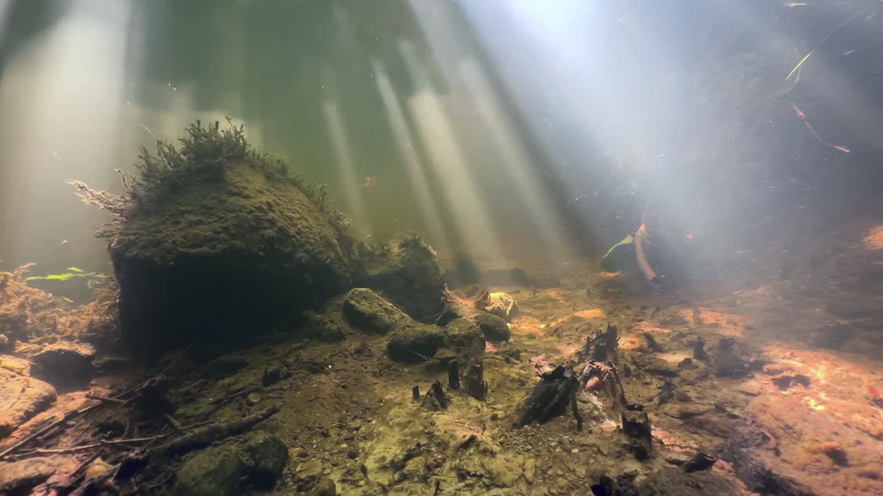 Rays of light playing at the bottom of a shallow stream, Estonia