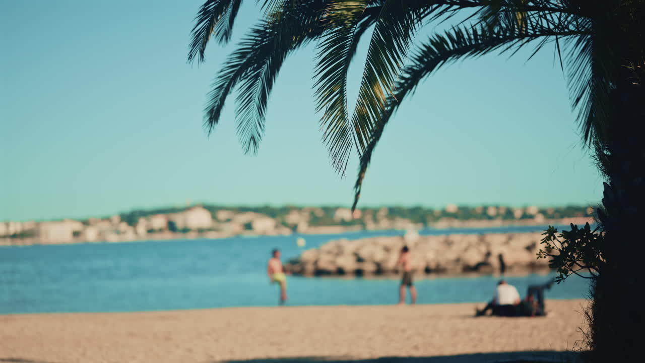 Persone che si rilassano e camminano su una spiaggia sabbiosa vicino al mare, incorniciate da foglie di palma e dal tronco di un albero in primo piano, con una città costiera in lontananza