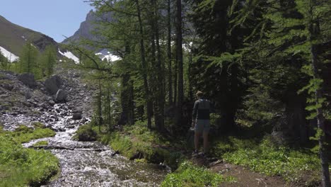 Hiker-walking-up-the-creek-valley-followed-Rockies,-Kananaskis,-Alberta-Canada