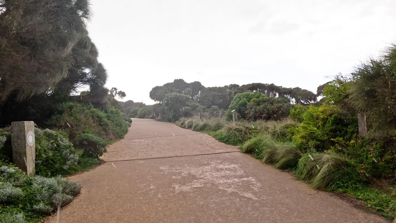 울창한 초록색과 해안 풍경을 가로질러 가는 길