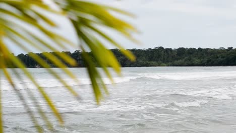 Karibikküste-Vor-Der-Küstenlinie-Des-Beliebten-Cahuita-Nationalparks