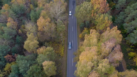 Vista-Aérea-De-Un-Coche-En-Un-Camino-Forestal,-Península-De-Hel.