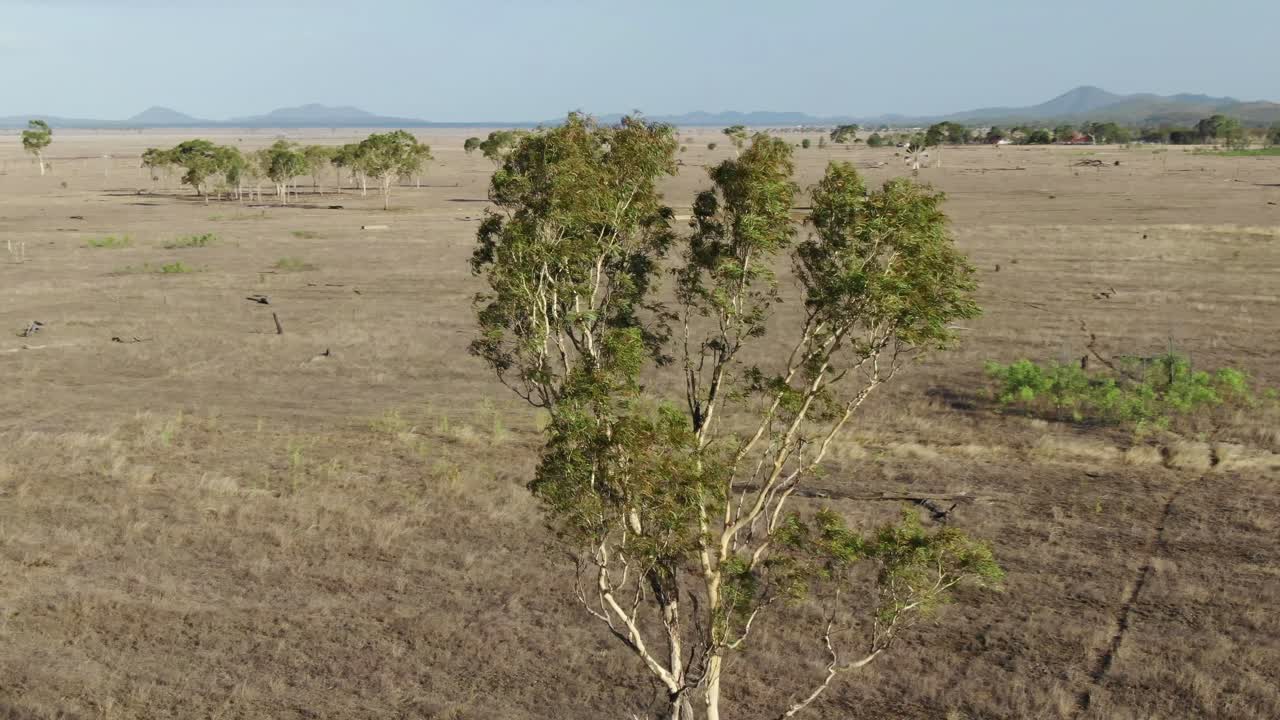 백그라운드에서 풍차와 바람에 의해 흔들리는 나무, 세인트 로렌스 시골