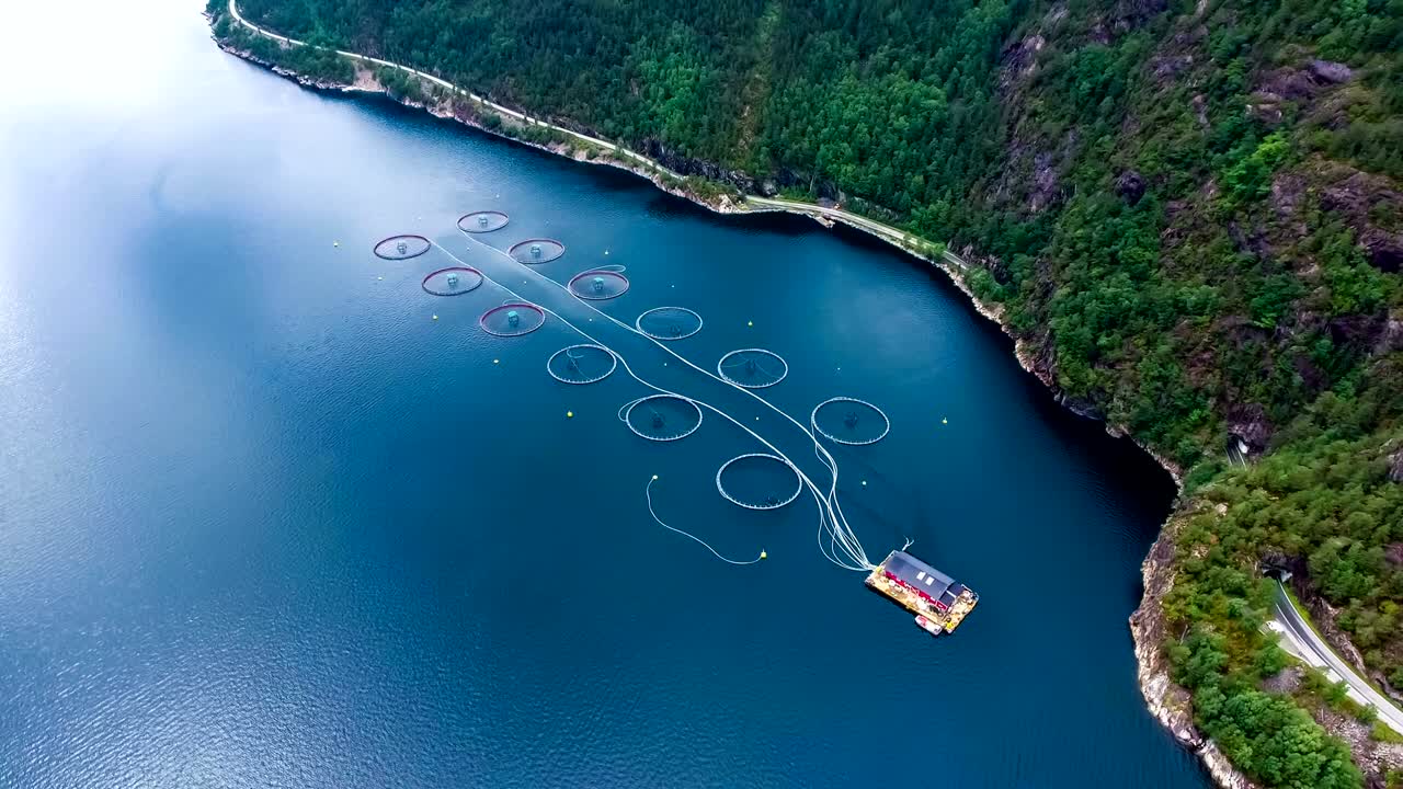 노르웨이에서 연어  ⁇ 시를 하는 공중 촬영