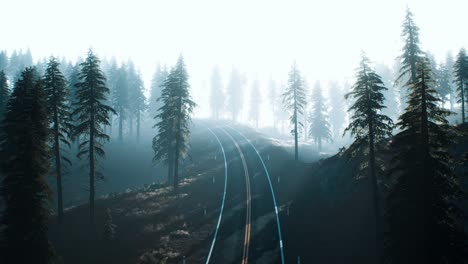 road-through-the-russian-taiga-forest-from-aerial-view