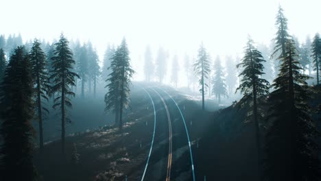 road through the russian taiga forest from aerial view