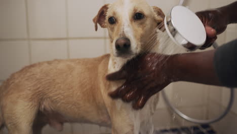 he finds bath time so relaxing