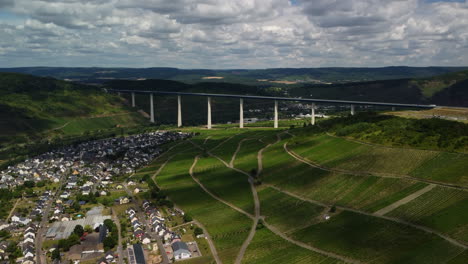 rising flight in front of the high moselle bridge