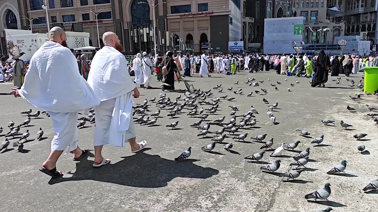 Pilgrims in Ihram Walking Through Mecca Plaza with Pigeons