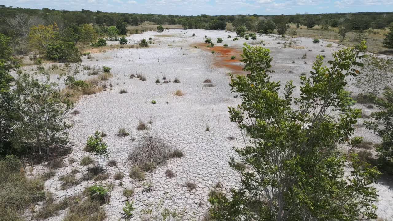 Bacia de rio seca revelando terra rachada e vegetação mínima, com palmeiras buriti dispersas lutando contra a seca contínua e a degradação ambiental na vasta savana do Cerrado brasileiro.