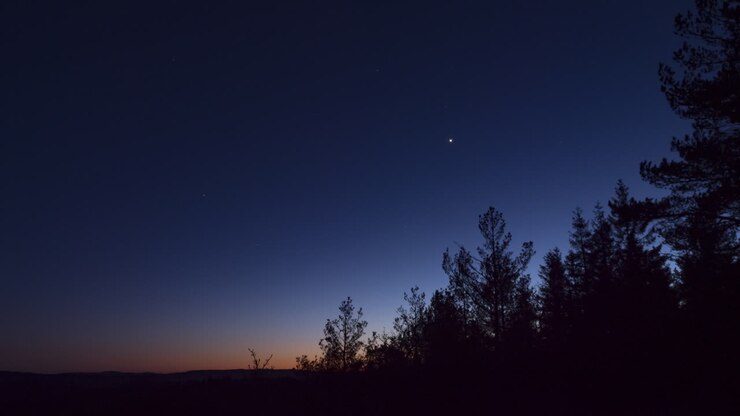 Time-lapse: il cielo si oscura al calar della sera sopra gli alberi in una sera serena.