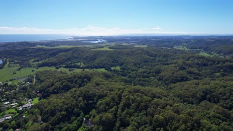 dense rainforest in currumbin valley, queensland, australia - aerial drone shot