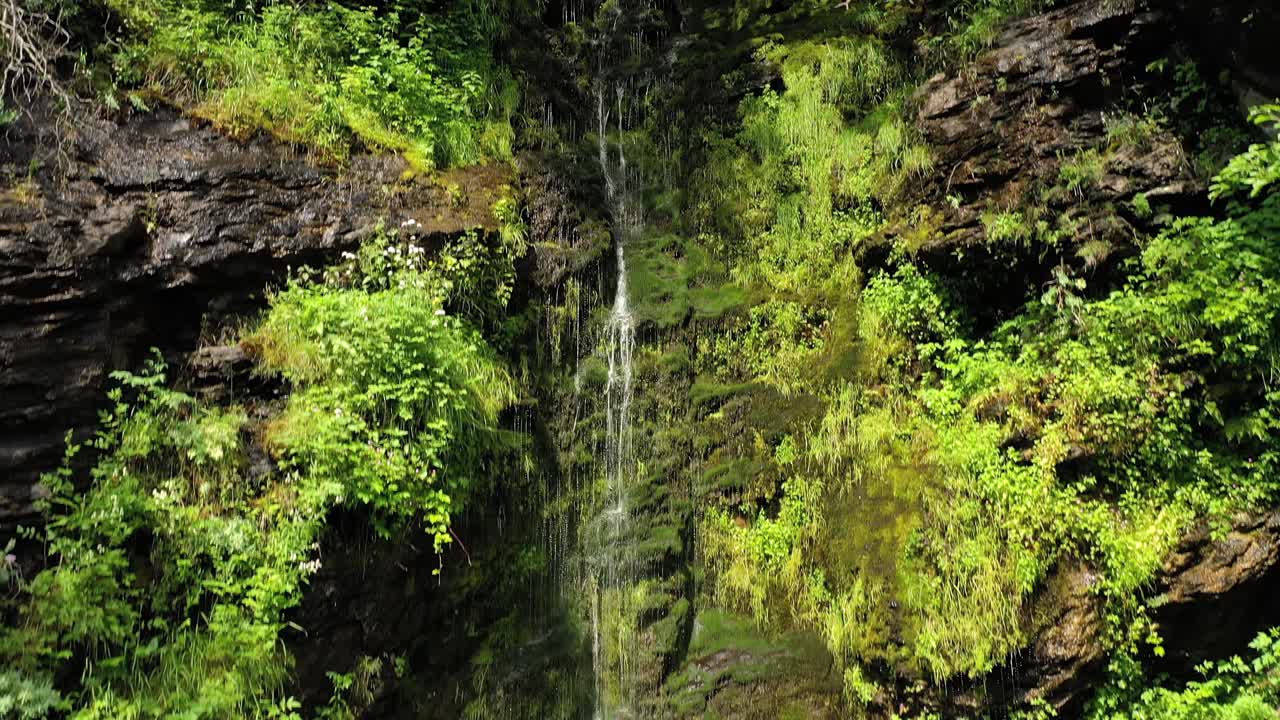 pequeña cascada limpia en el bosque. hermosa naturaleza paisaje natural de noruega.