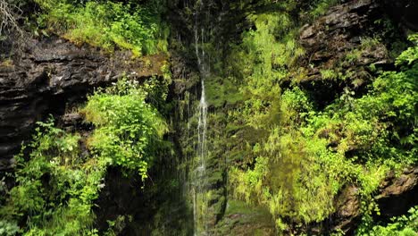 pequeña cascada limpia en el bosque. hermosa naturaleza paisaje natural de noruega.