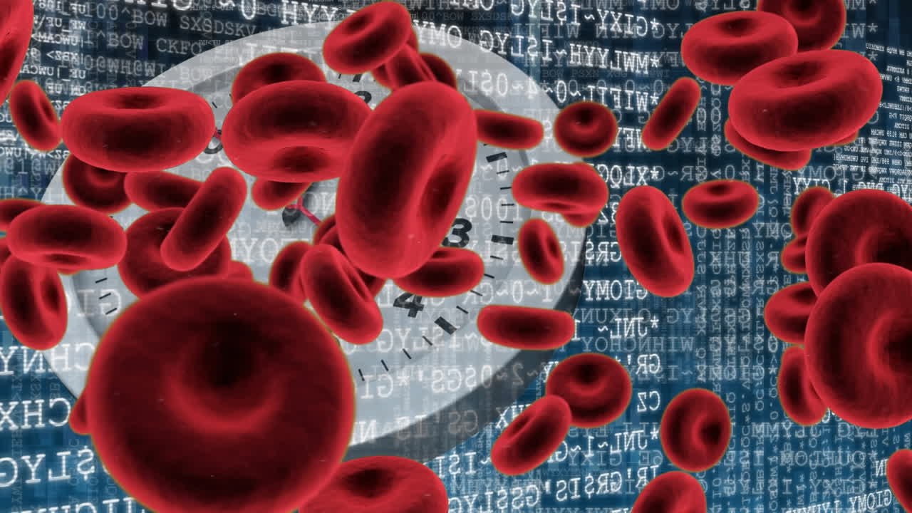 적혈구와 백색 시계