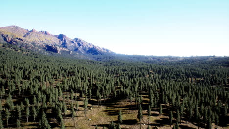 Cascade-Mountain-and-surrounding-Canadian-Rocky-Mountains-in-summer-time