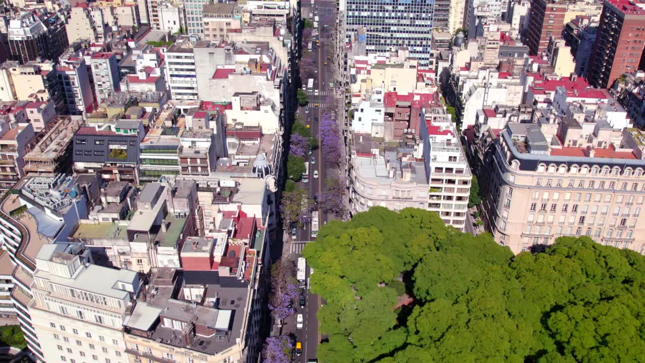 부에노스아이레스 레티로 인근 산타페 애비뉴에 있는 자카란다의 라일락 꽃