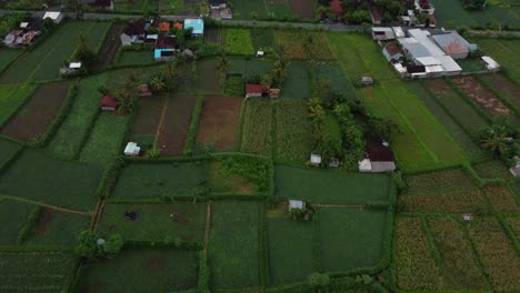 Tilt-down-push-forward-above-green-garden-Plots-crossing-street,-Aerial