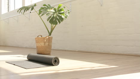 a yoga mat rolled up next to basket with a plant